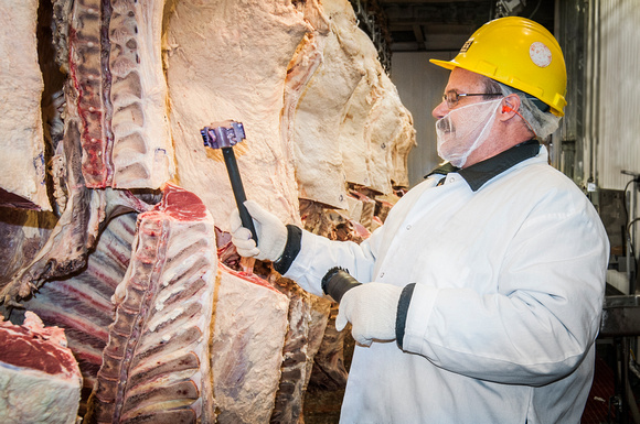 About hardwicks meat works pty ltd