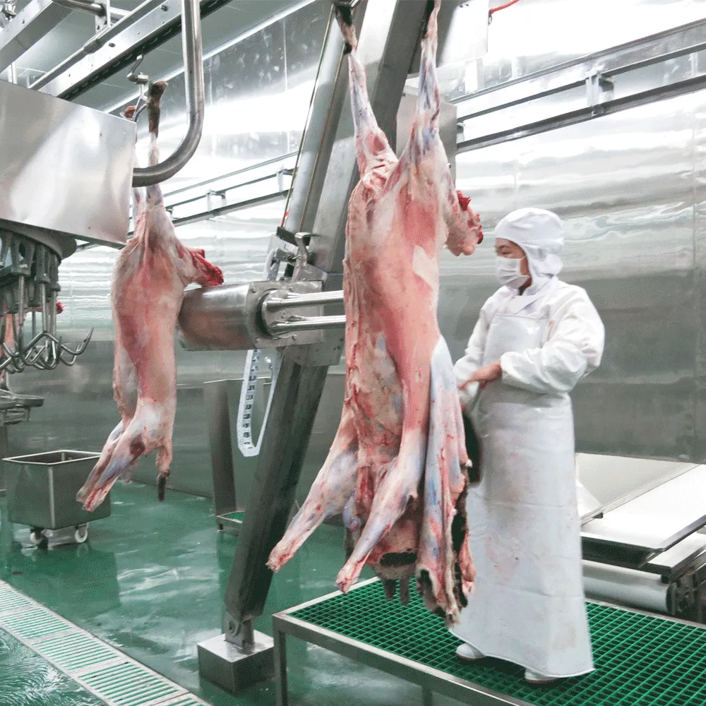 About hardwicks meat works pty ltd